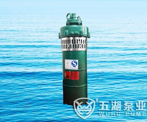 QS小型潛水電泵、QST660V特種電泵