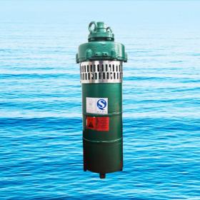 QS小型潛水電泵、QST660V特種電泵